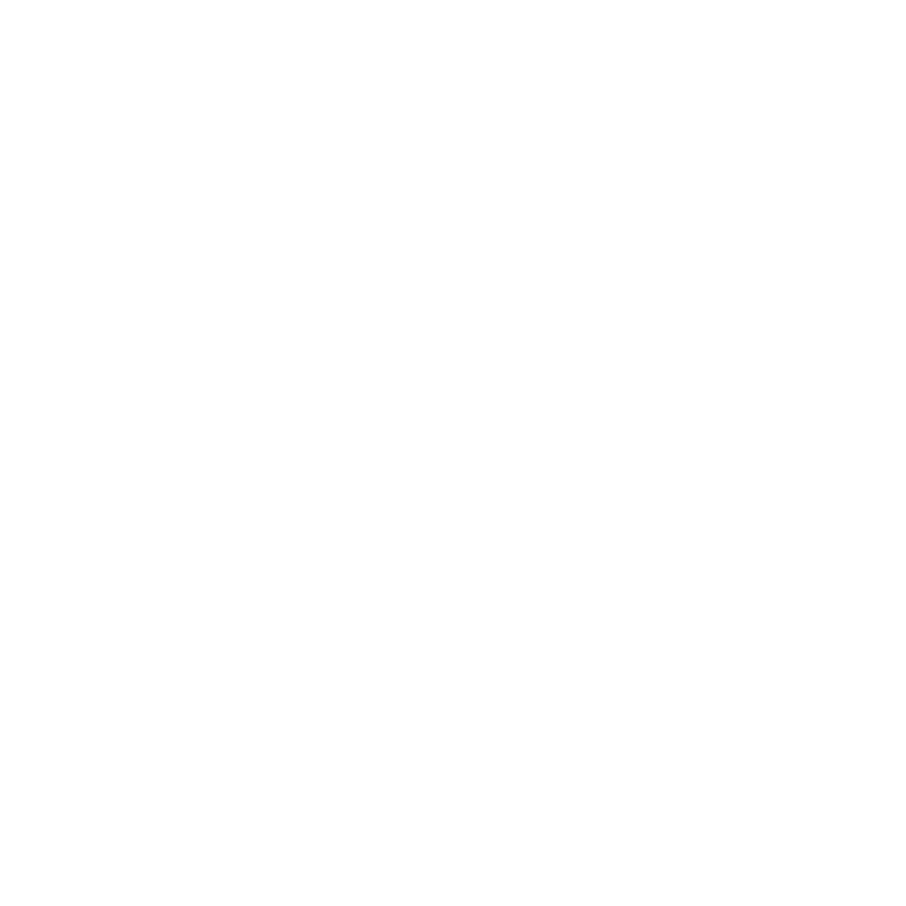 Charter Nexus Logo